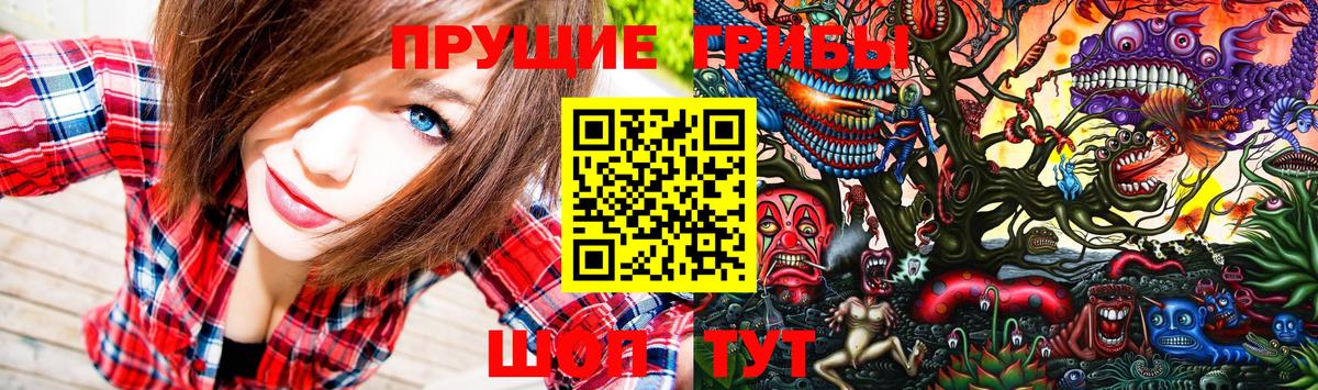 Псилоцибиновые грибы прущие грибы  Галлюциногенные грибы Cubensis  Вход с VPN  Североморск 